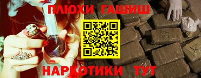 сатива Новозыбков